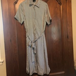 Alex Marie Shirt Dress